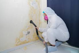 Best Mold Removal for HVAC Installations  in Glyndon, MN